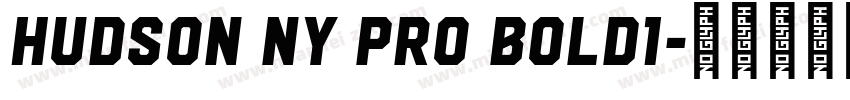 Hudson NY Pro Bold1字体转换
